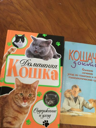 Лот: 25745525. Фото: 1. Кошки лечебник 2 книги. История