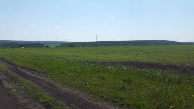 Лот: 7792036. Фото: 1. земельный участок. Земельные участки