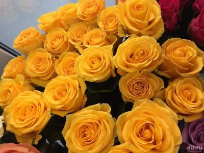 Лот: 13861899. Фото: 1. Розы желтые / Эквадор. Свежие цветы