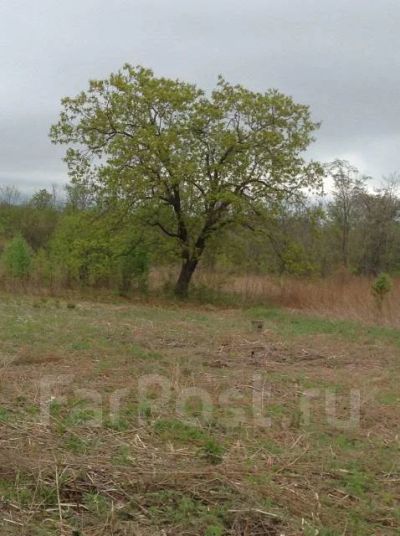 Лот: 19003156. Фото: 1. Участок 6 соток. Земельные участки