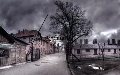 Лот: 4737415. Фото: 1. Плакат "Ворота Освенцима" ламинированный... Другое (картины, панно)