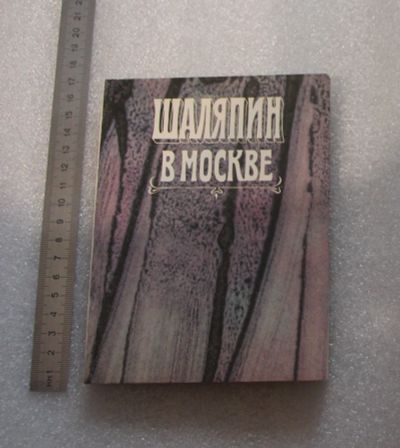 Лот: 22558337. Фото: 1. Дмитриевская Е.Р., Дмитриевский... Мемуары, биографии