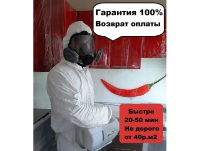 Лот: 16364645. Фото: 1. Дезинсекция от 40/м2. Уничтожение... Другие (бытовые услуги)