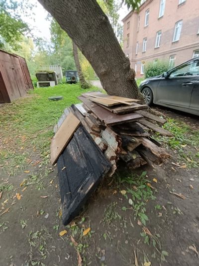 Лот: 25703607. Фото: 1. Дрова. Дрова, горбыль