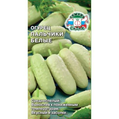 Лот: 24699509. Фото: 1. Семена Огурец, Пальчики Белые... Другое (семена, рассада, садовые растения)