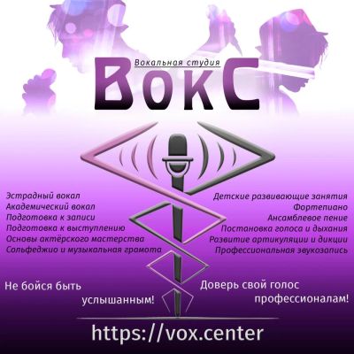 Лот: 11525067. Фото: 1. Уроки вокала / пения в профессиональной... Другие (обучение, тренеры)
