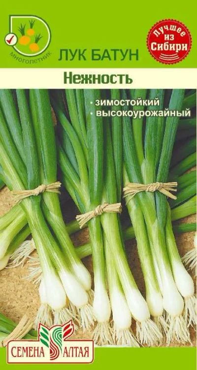 Лот: 11017779. Фото: 1. Семена лука-батуна " Нежность... Овощи