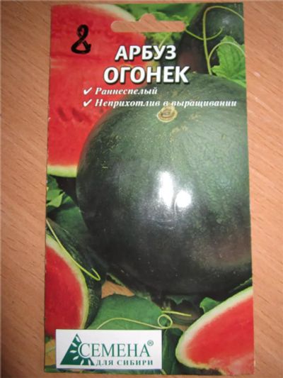 Лот: 7150226. Фото: 1. Семена арбуза Огонёк. Другое (семена, рассада, садовые растения)