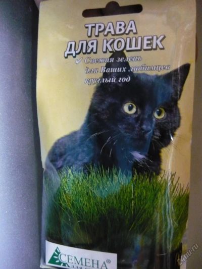 Лот: 5933363. Фото: 1. травка для кошек. Корма