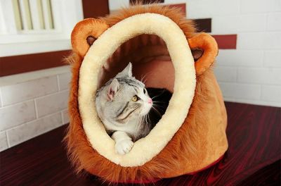Лот: 10689210. Фото: 1. Домик-лежанка для кошек "Царь... Домики, переноски, клетки, когтеточки
