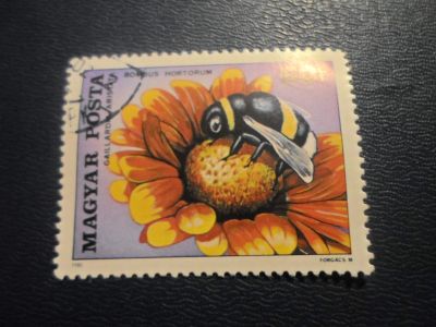 Лот: 17184565. Фото: 1. Марка для Вашей коллекции. №25102. Марки