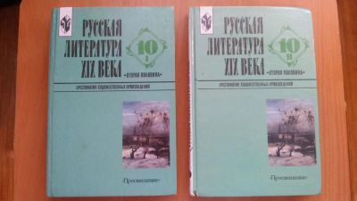 Лот: 4446356. Фото: 1. Русская литература XIX века. 10... Для школы