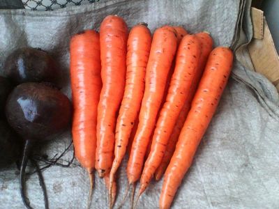 Лот: 10481978. Фото: 1. Морковь свежая, со своего огорода... Овощи, фрукты, зелень