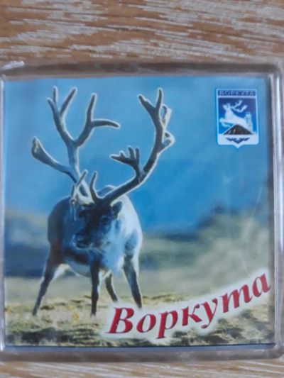 Лот: 10906617. Фото: 1. Новый магнит Северный Олень. Магниты сувенирные