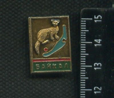 Лот: 16439581. Фото: 1. (№ 6567) значки Иркутск соболь. Памятные медали