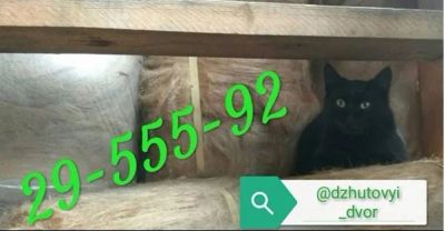 Лот: 3503625. Фото: 1. Джут в ленте для конопатки 1кг. Утеплитель и изоляционные материалы