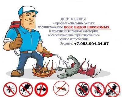 Лот: 18294184. Фото: 1. Дезинсекция - уничтожение тараканов... Другие (бытовые услуги)