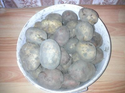 Лот: 8026302. Фото: 1. Картофель. Картофель