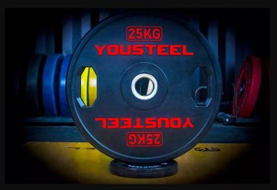 Лот: 23320749. Фото: 1. Диск 25 кг YouSteel TWO HANDLES. Штанги, блины