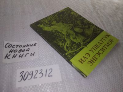 Лот: 22029453. Фото: 1. (3092312) oz Илэ упкаттук энгэситмэр... Художественная