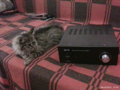 Лот: 3265868. Фото: 1. Hi-fi усилитель на тда7294 2 канала... Усилители, эквалайзеры
