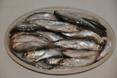 Лот: 2972354. Фото: 1. Тугунок, малосольная рыба. Икра, рыба, морепродукты