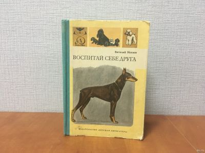 Лот: 18241051. Фото: 1. В. Нехаев / Воспитай себе друга... Познавательная литература