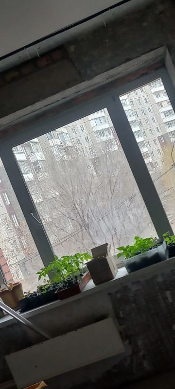 Лот: 20315999. Фото: 1. Окно пластиковое. Окна, балконы