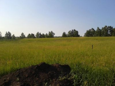 Лот: 4495955. Фото: 1. Земельный участок. Земельные участки
