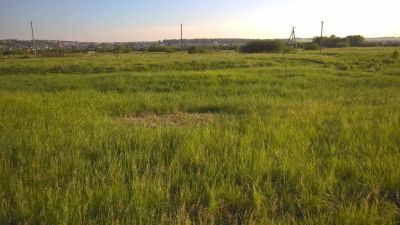 Лот: 9880290. Фото: 1. Земельный участок. Земельные участки