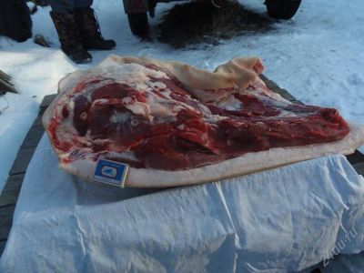 Лот: 2312102. Фото: 1. Продам мясо свинину. Мясо, птица, яйцо
