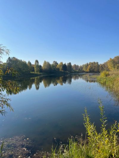 Лот: 24332313. Фото: 1. Участок. Земельные участки