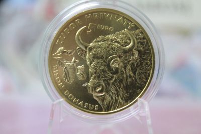 Лот: 23329894. Фото: 1. Словакия 5 евро 2024 года Зубр... Европа