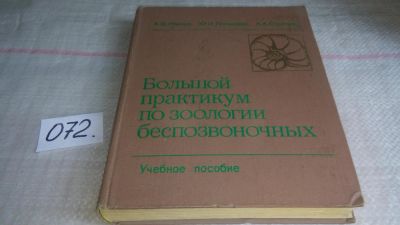 Лот: 11198031. Фото: 1. Большой практикум по зоологии... Биологические науки