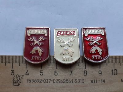 Лот: 19239795. Фото: 1. ( №8947) значки ,Флор Факна,Красноярск... Сувенирные