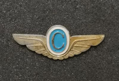 Лот: 24588563. Фото: 1. Знак авиации "С" бортпроводник... Сувенирные