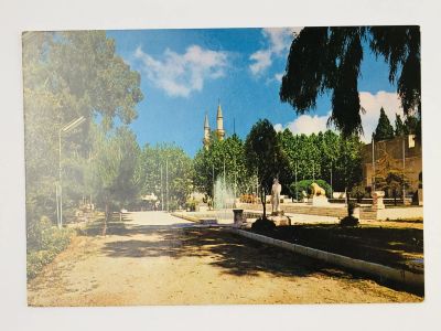 Лот: 23296311. Фото: 1. Сирия. Дамаск. Сад музея. Открытка... Открытки, конверты