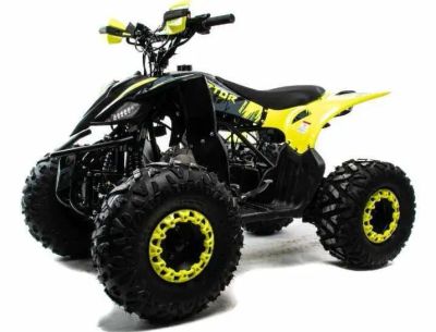 Лот: 25774817. Фото: 1. Квадроцикл MOTOLAND 125 Raptor. Снегоходы, квадроциклы