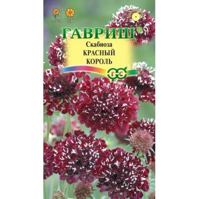 Лот: 24683749. Фото: 1. Семена Цветы, Скабиоза, Красный... Другое (семена, рассада, садовые растения)