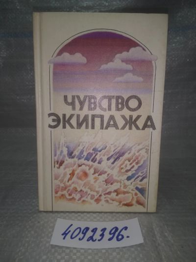 Лот: 25802702. Фото: 1. ВбР/ОзЮ(4092396)Чувство экипажа. Художественная