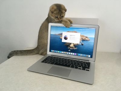 Лот: 15598809. Фото: 1. Macbook Air 13 Mid 2013 (Intel... Ноутбуки