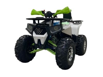 Лот: 25208607. Фото: 1. Квадроцикл GLADIATOR G125 Premium. Снегоходы, квадроциклы