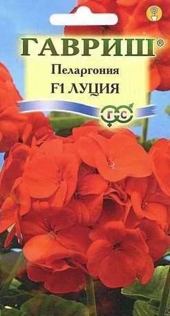 Лот: 11025624. Фото: 1. Пеларгония Луция зональная 4 шт... Садовые цветы