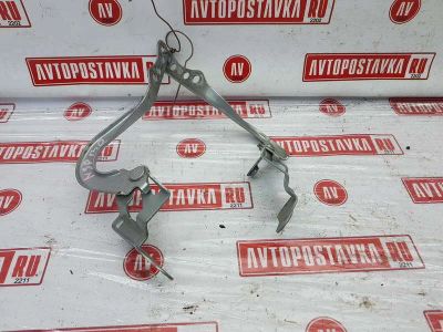 Лот: 20902345. Фото: 1. Петля капота Toyota Vitz NSP130... Двигатель и элементы двигателя