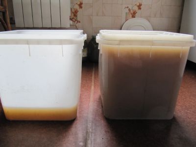 Лот: 14348901. Фото: 1. Мёд алтайский 2019 ОПТОМ Цена... Мёд, продукты пчеловодства