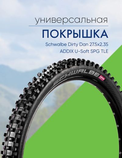 Лот: 22378640. Фото: 1. Schwalbe Покрышка Schwalbe Dirty... Запчасти