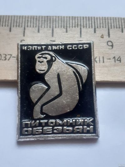 Лот: 18496244. Фото: 1. ( №12422) значки флора фауна... Сувенирные