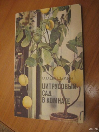 Лот: 8810201. Фото: 1. Цитрусовый сад в комнате. Сад, огород, цветы