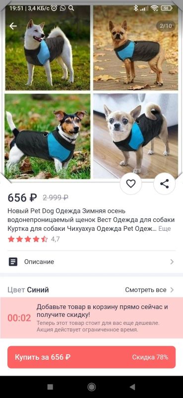 Лот: 18334124. Фото: 1. Жилетка зимняя для собаки. Ошейники, одежда, конное снаряжение