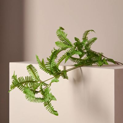 Лот: 22040853. Фото: 1. Ветвь Fern. Крючки, вешалки